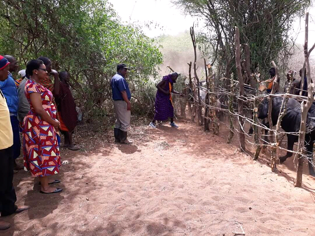 Sinlge Gallery Same District Council