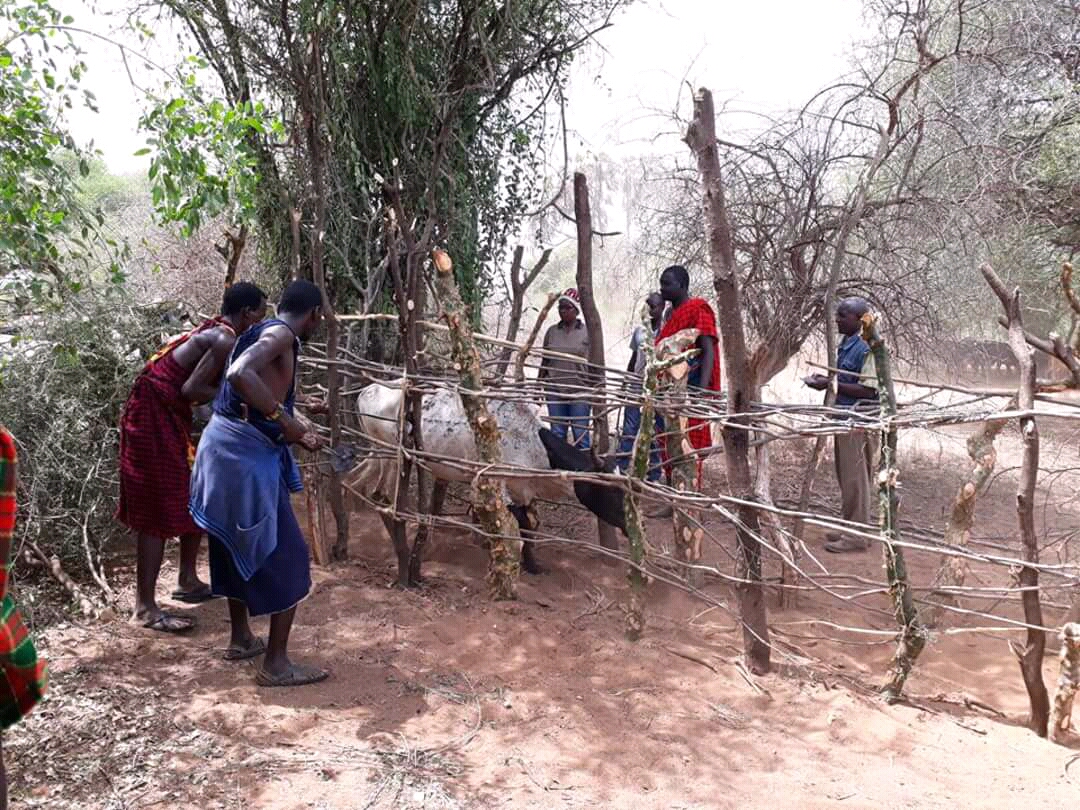 Sinlge Gallery Same District Council