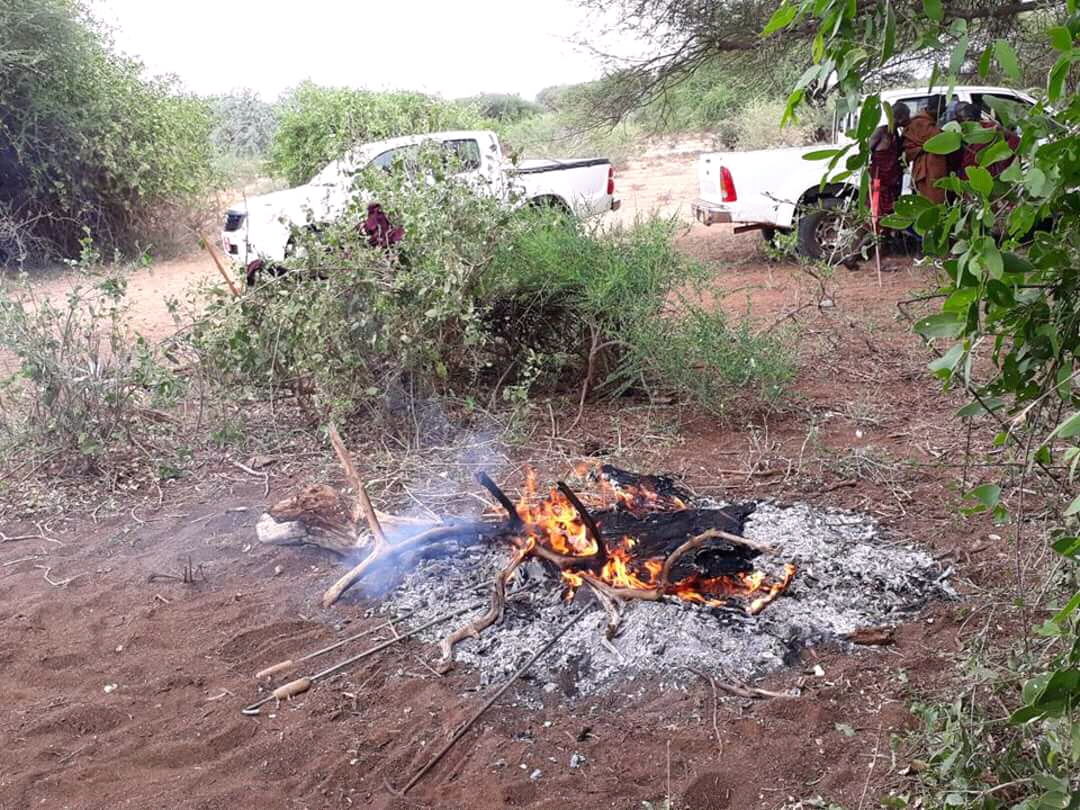 Sinlge Gallery Same District Council