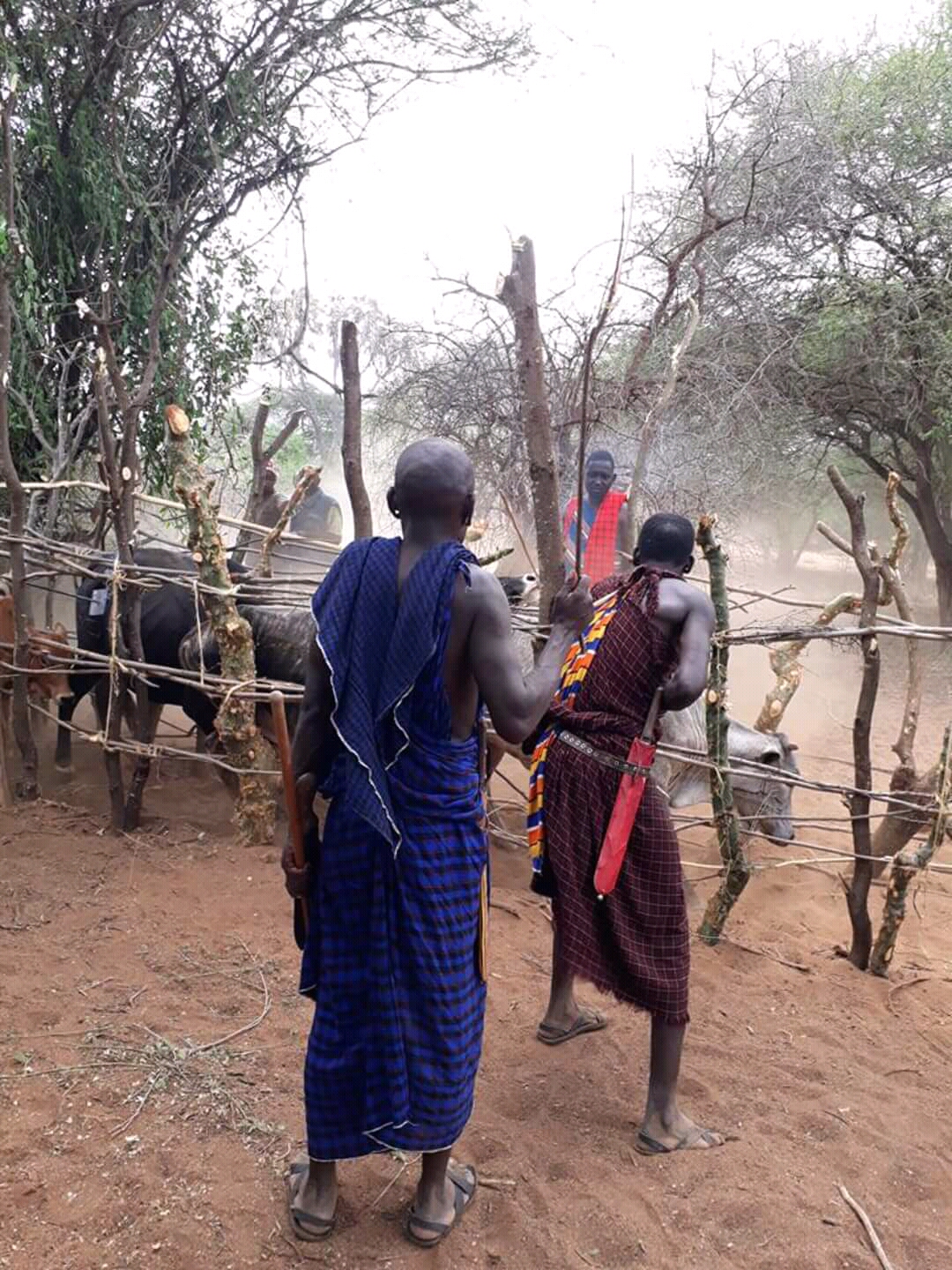 Sinlge Gallery Same District Council